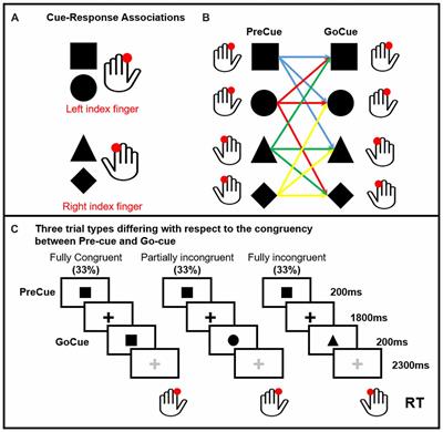 Theta Activity in the Left Dorsal Premotor Cortex During Action Re-Evaluation and Motor Reprogramming